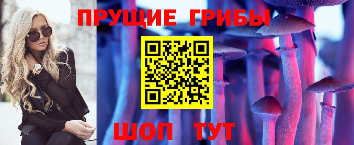 Ревда  Псилоцибиновые грибы мицелий  Вход с VPN 